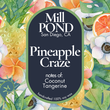 Load image into Gallery viewer, Foaming Soap (Organic & Vegan) ~ Pick Your Scent!