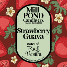 Load image into Gallery viewer, Car Freshies ~ NEW Summer Scents! ~ Free Refill