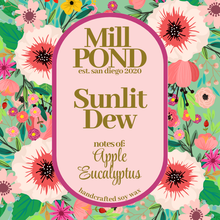 Load image into Gallery viewer, Classic Wax Melts ~ 5 for $25