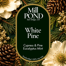 Load image into Gallery viewer, Car Freshies ~ NEW Fall Scents! ~ Free Refill