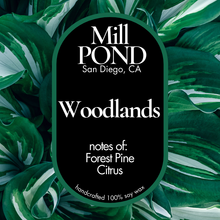 Load image into Gallery viewer, Classic Wax Melts ~ 5 for $25 ~ Spring and Summer Scents!