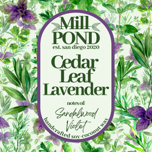 Load image into Gallery viewer, Cedar Leaf &amp; Lavender ~ NEW
