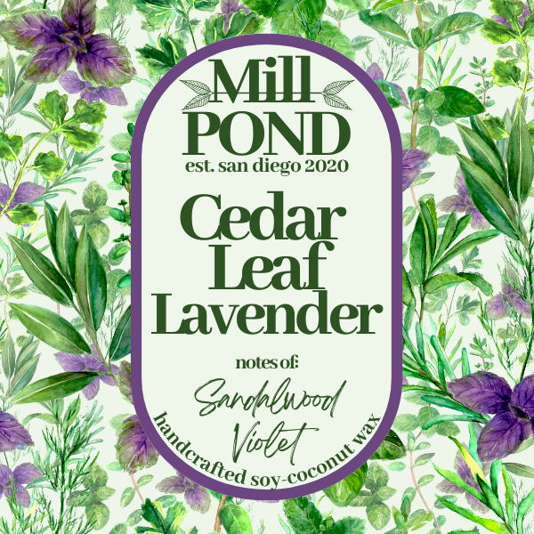 Cedar Leaf & Lavender ~ NEW