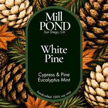 Load image into Gallery viewer, Car Freshies ~ NEW Fall Scents! ~ Free Refill
