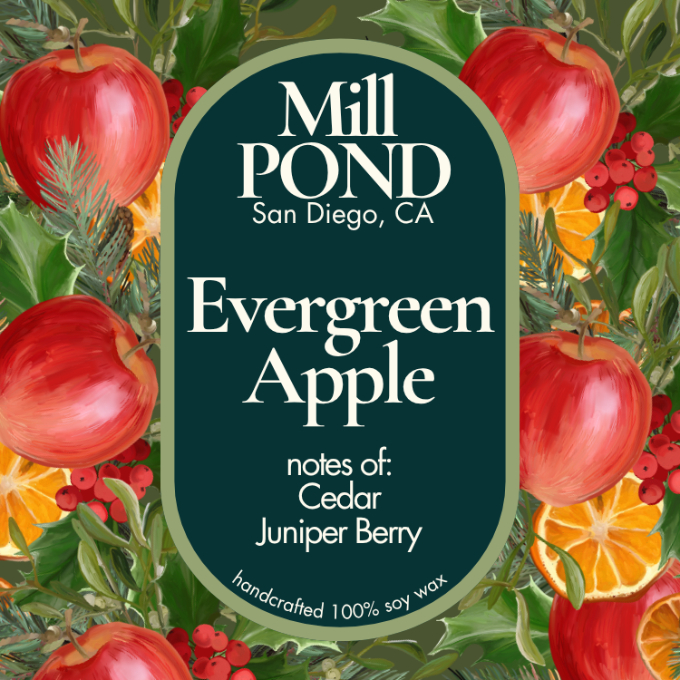Evergreen Apple ~ New Mill POND