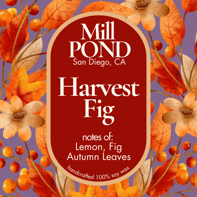 Harvest Fig~ NEW Mill POND