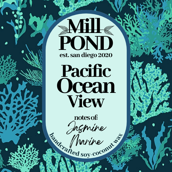 Pacific Ocean View