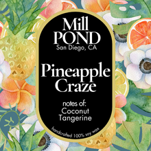 Load image into Gallery viewer, Classic Wax Melts ~ 5 for $25 ~ Spring and Summer Scents!
