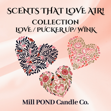 Load image into Gallery viewer, The ENTIRE &quot;Scents that LOVE Air&quot; Collection
