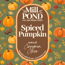 Load image into Gallery viewer, Spiced Pumpkin ~ NEW
